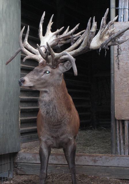 Circle H Ranch and Lodge